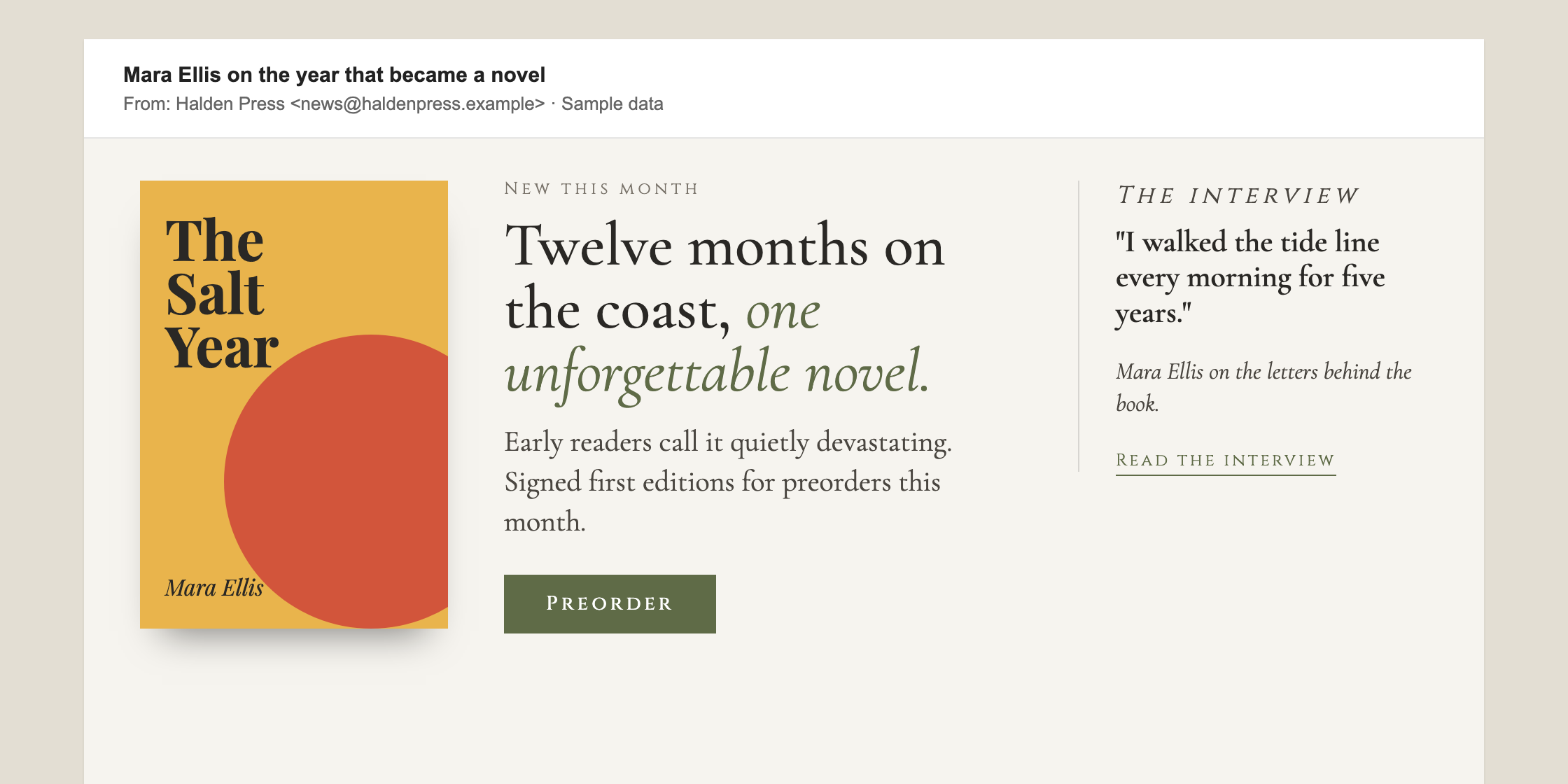After: the redesigned newsletter with the book cover, a short headline, a Preorder button and an author interview teaser.